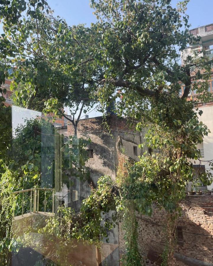 Rooftop Studio And 2Bhk Apartments In Kathmandu'S Most Happening Place Exteriér fotografie